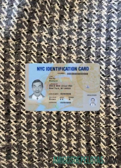 USA New York ID olhar de foto frente amostra